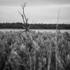 a-little-bit-of-switzeland-02