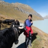 a-little-bit-of-switzeland-21