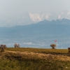 a-little-bit-of-switzeland-33