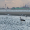 Dunkerque-22