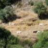 galice-portugal-81