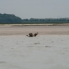 Voyage La Nomade Manche-13