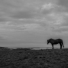 Normandie-Bretagne-18