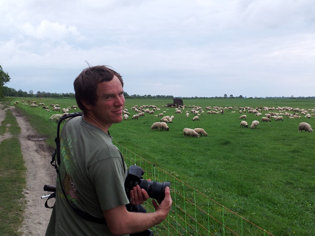 Look! Sheep! 